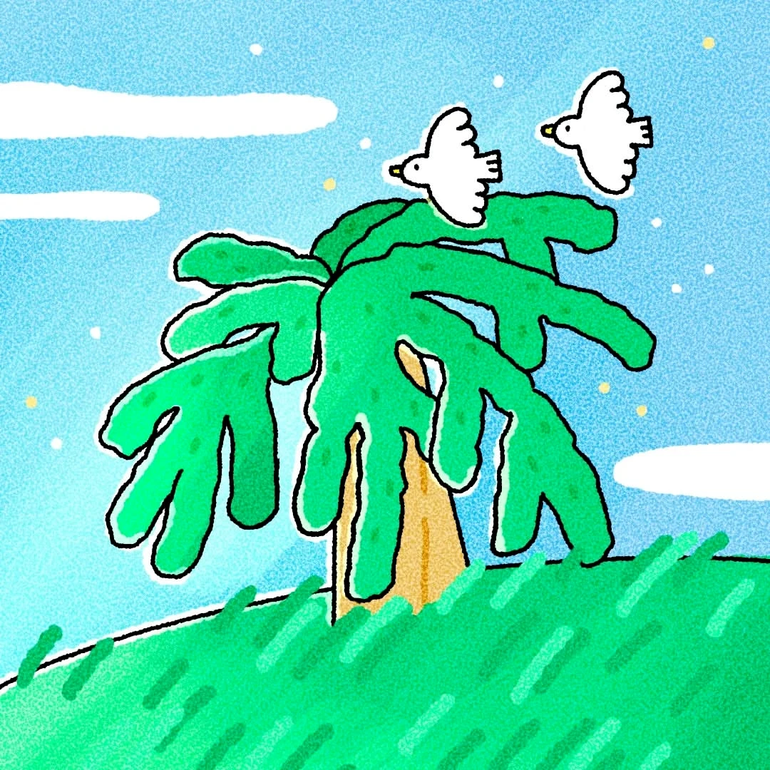 月見草