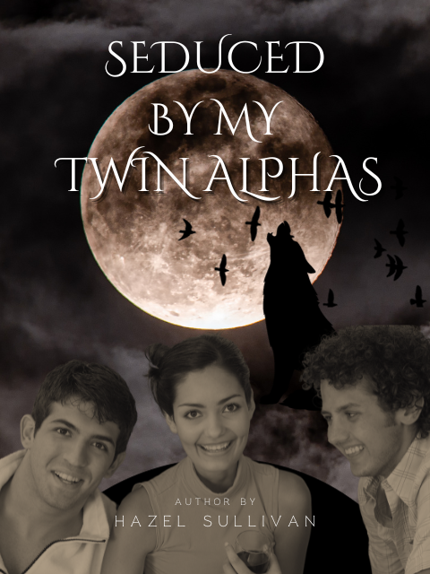 Seduced By My Twin Alphas
